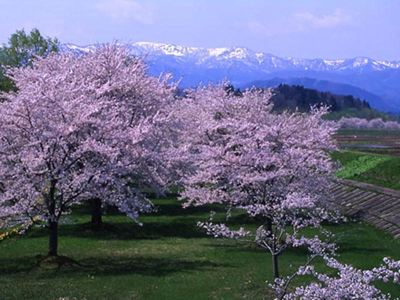 Onsen Minsyuku Akebonosou Morioka Zewnętrze zdjęcie